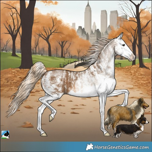 Horse Color:Powder White White Spotted Chocolate Palomino Splash 