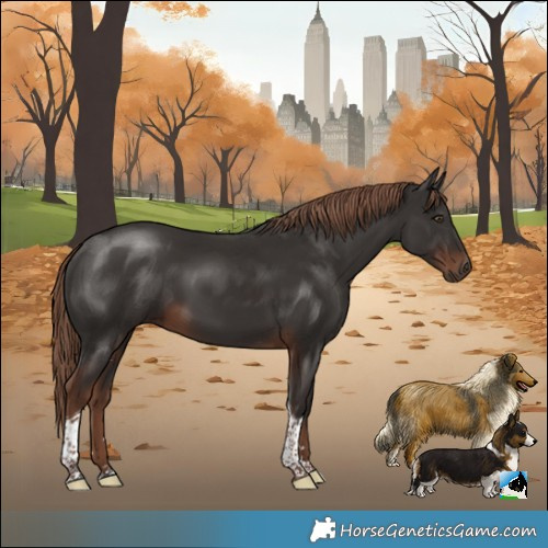 Horse Color:Liver Chestnut Tobiano 