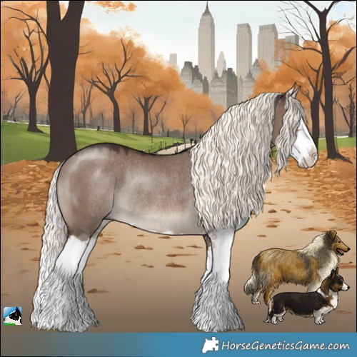 Horse Color:Liver Red Dun Mushroom Splash Rabicano 