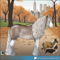 Horse Color:Liver Red Dun Mushroom Splash Rabicano 