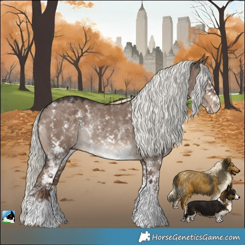 Horse Color:Liver Red Dun Mushroom Sabino Rabicano