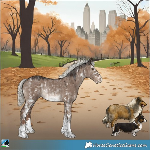 Horse Color:Liver Red Dun Mushroom Sabino Rabicano