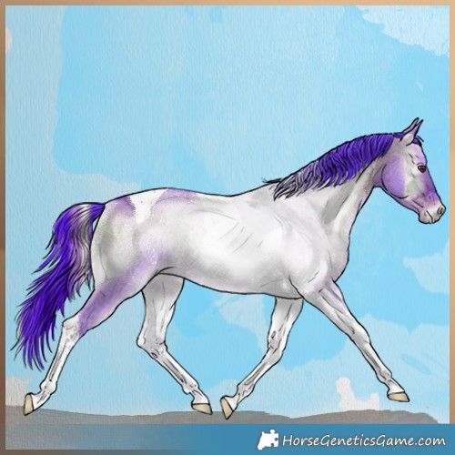 Horse Color:Watercolor Liver Red Dun Ice Onyx Tobiano Rabicano