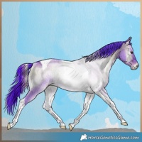 Horse Color:Watercolor Liver Red Dun Ice Onyx Tobiano Rabicano