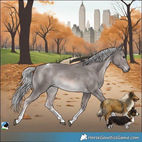 Horse Color:Platinum Chocolate Palomino Tobiano Rabicano