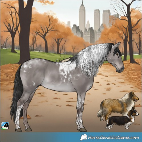 Horse Color:Gray Platinum White Spotted Liver Red Dun Tobiano Rabicano 