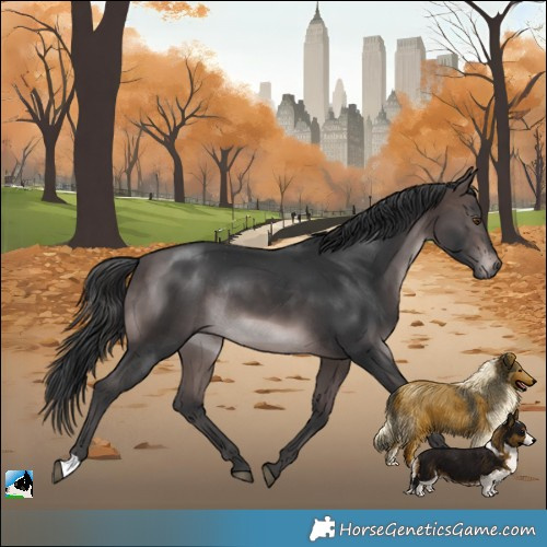 Horse Color:Platinum Brown Mushroom Rabicano 