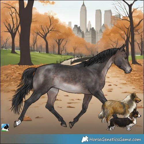 Horse Color:Platinum Brown Mushroom Rabicano 