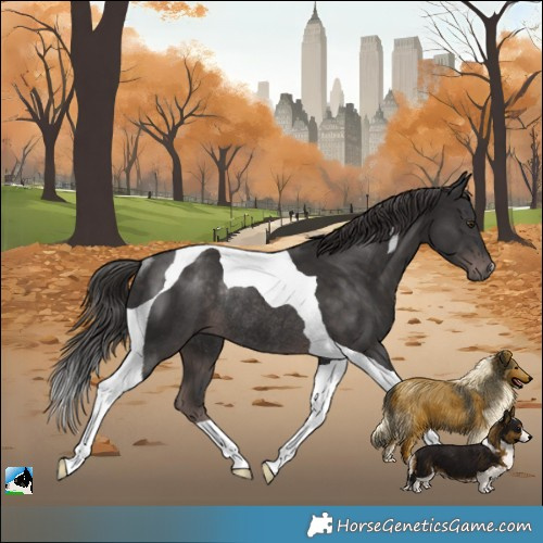 Horse Color:Platinum Liver Chestnut Tobiano Rabicano 