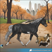 Horse Color:Platinum Liver Chestnut Mushroom Tobiano Rabicano
