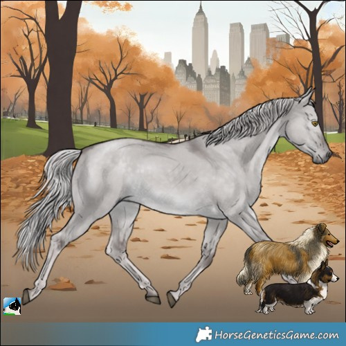 Horse Color:Platinum Chocolate Palomino Dun Rabicano