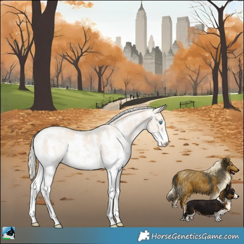 Horse Color:Cremello Mushroom Sabino 