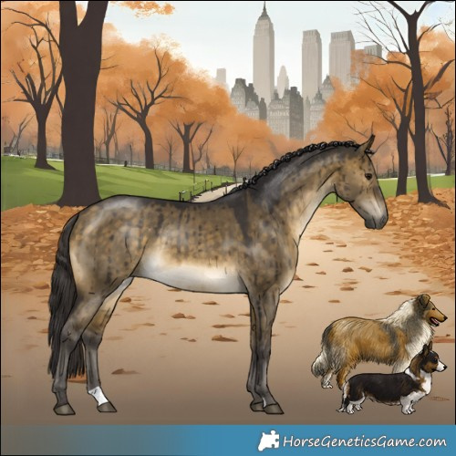 Horse Color:Buckskin Dun Rabicano Brindle 