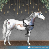 Horse Color:Silver Brown Splash Tobiano Rabicano
