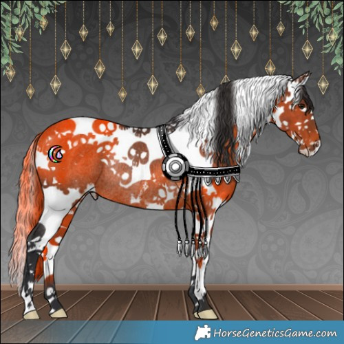Horse Color:White Spotted Brown Splash Tobiano Rabicano