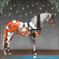 Horse Color:White Spotted Brown Splash Tobiano Rabicano 