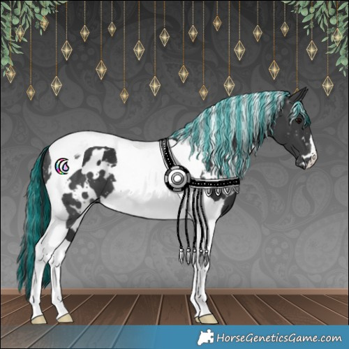 Horse Color:Painted White Spotted Black Tobiano
