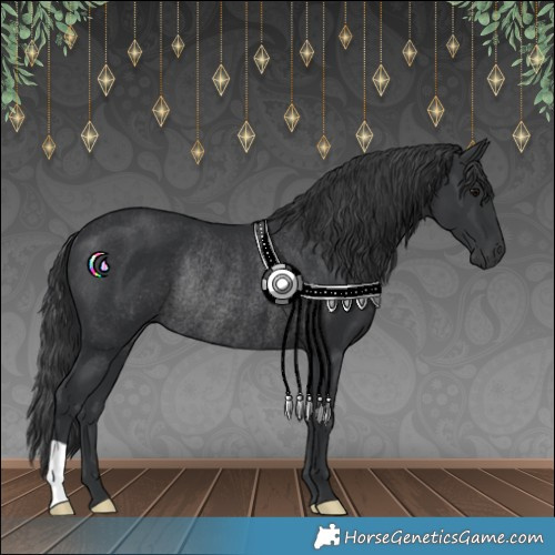 Horse Color:Black Rabicano 