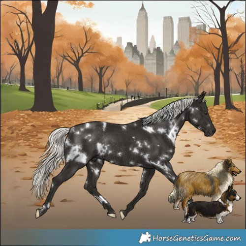 Horse Color:White Spotted Liver Chestnut Mushroom Rabicano 