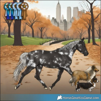 Horse Color:White Spotted Liver Chestnut Mushroom Rabicano 