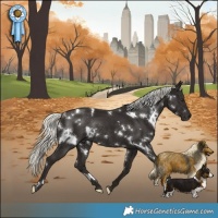 Horse Color:White Spotted Liver Chestnut Mushroom Rabicano 