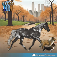 Horse Color:White Spotted Liver Chestnut Mushroom Rabicano 
