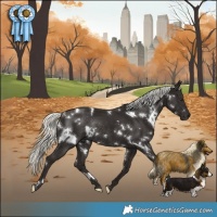 Horse Color:White Spotted Liver Chestnut Mushroom Rabicano 