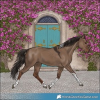 Horse Color:Liver Red Dun Tobiano 