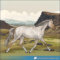 Horse Color:Chocolate Palomino Roan Dun Tobiano 