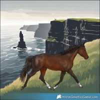 Horse Color:Liver Chestnut Sabino