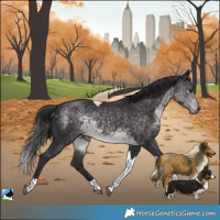 Horse Color:Platinum Buckskin Tobiano Rabicano