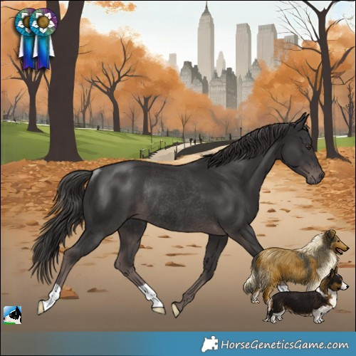 Horse Color:Platinum Liver Chestnut Rabicano 