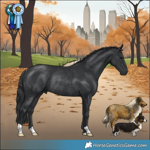 Horse Color:Platinum Black Rabicano 