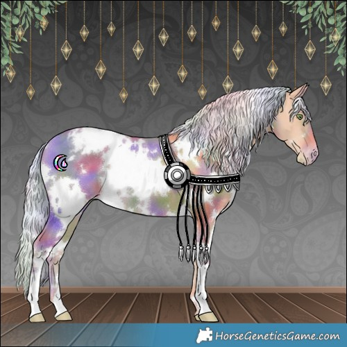 Horse Color:Nacre White Spotted Silver Amber Champagne Appaloosa 