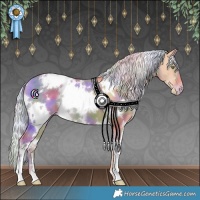 Horse Color:Nacre White Spotted Silver Amber Champagne Varnish