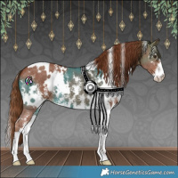 Horse Color:White Spotted Chestnut Sabino 