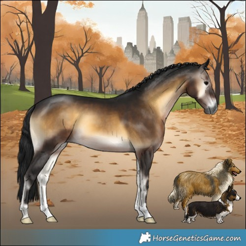 Horse Color:Gray Brown Onyx 