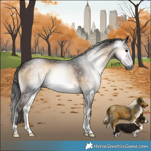 Horse Color:Gray Brown Onyx 