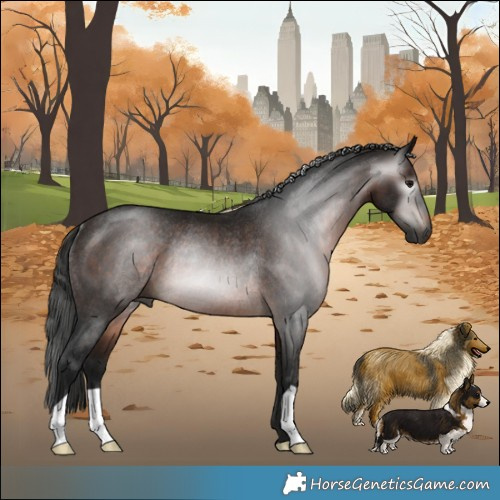 Horse Color:Gray Bay Rabicano 