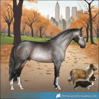 Horse Color:Gray Bay Rabicano