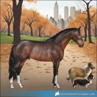 Horse Color:Gray Bay Rabicano