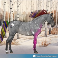 Horse Color:Painted White Spotted Blue Roan 