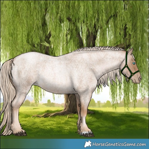 Horse Color:Chocolate Palomino Roan Pearl