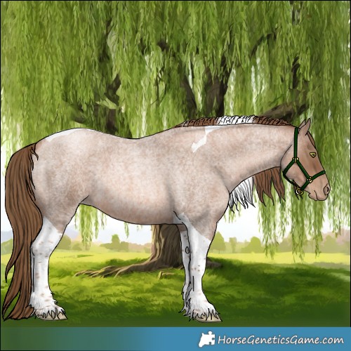 Horse Color:Liver Red Roan Pearl Tobiano
