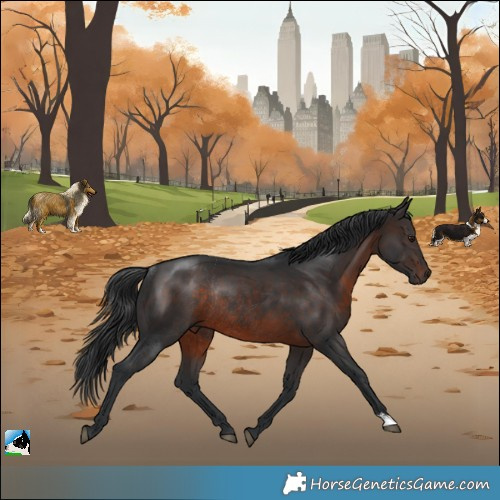 Horse Color:Brown Rabicano 