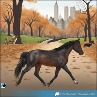 Horse Color:Brown Rabicano