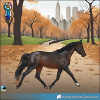 Horse Color:Brown Rabicano 