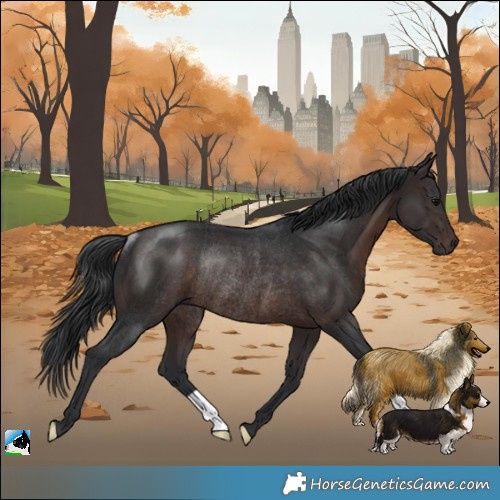 Horse Color:Brown Rabicano