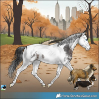 Horse Color:Brown Sabino Splash Tobiano 