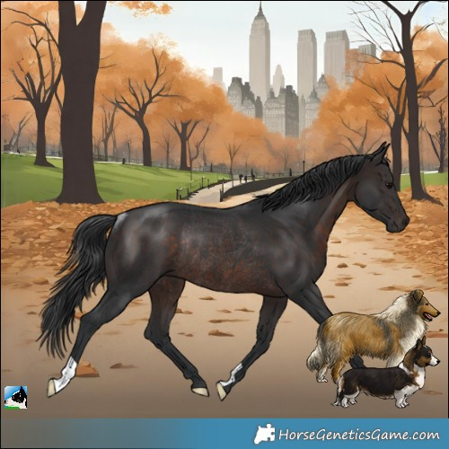 Horse Color:Brown Rabicano